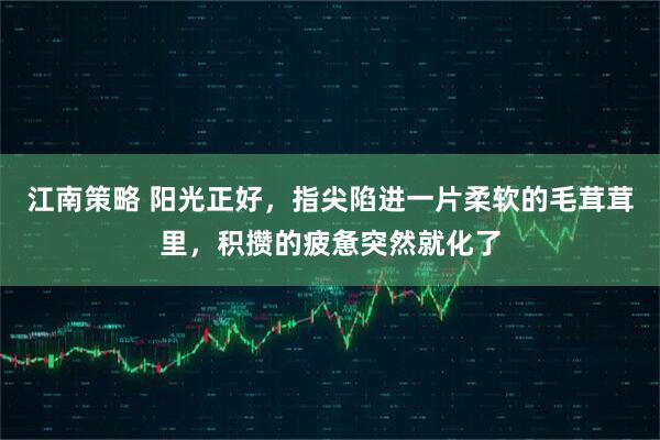 江南策略 阳光正好，指尖陷进一片柔软的毛茸茸里，积攒的疲惫突然就化了